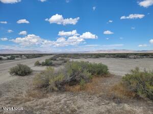 20250808011313308037000000