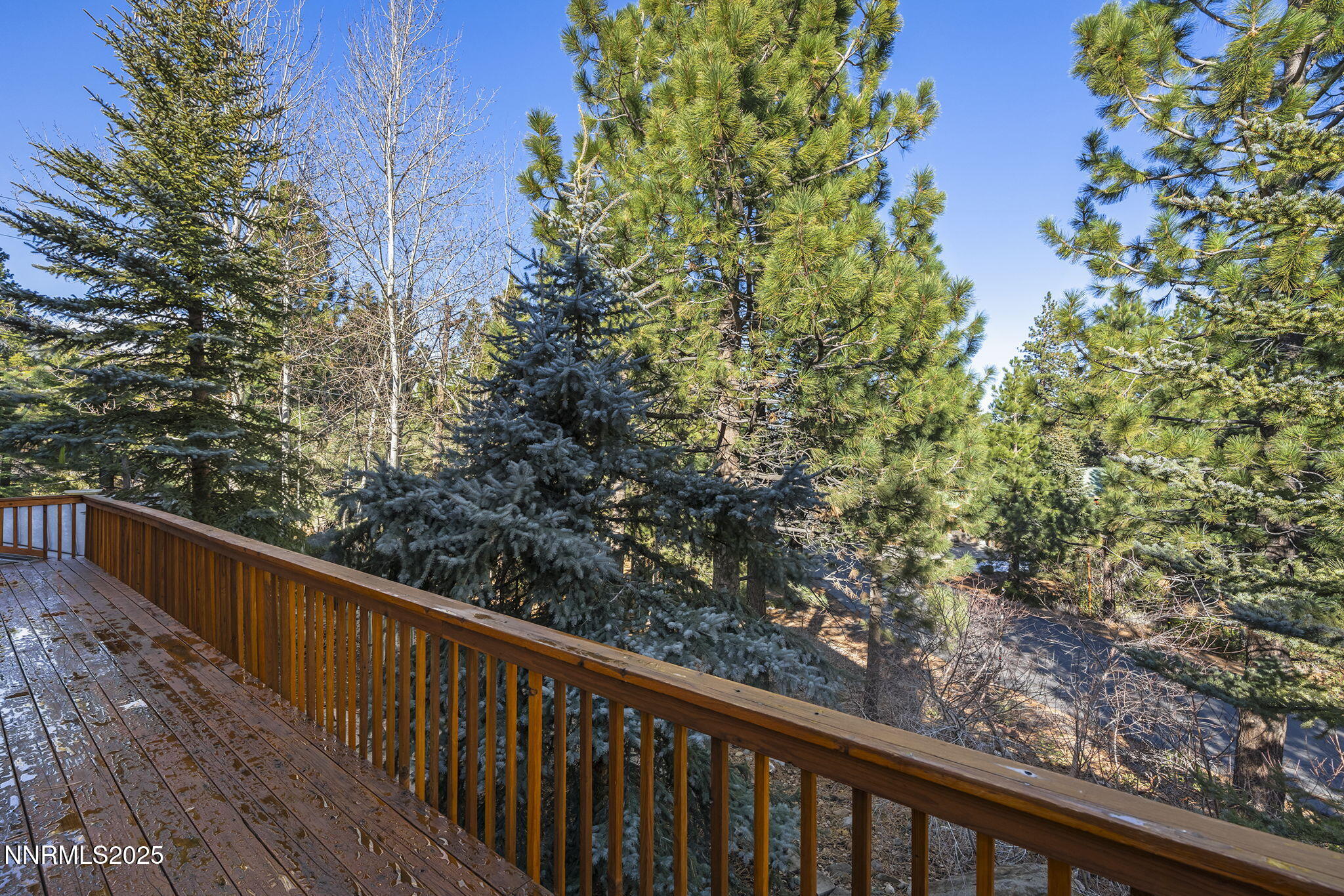 28-web-or-mls-_DSC0550