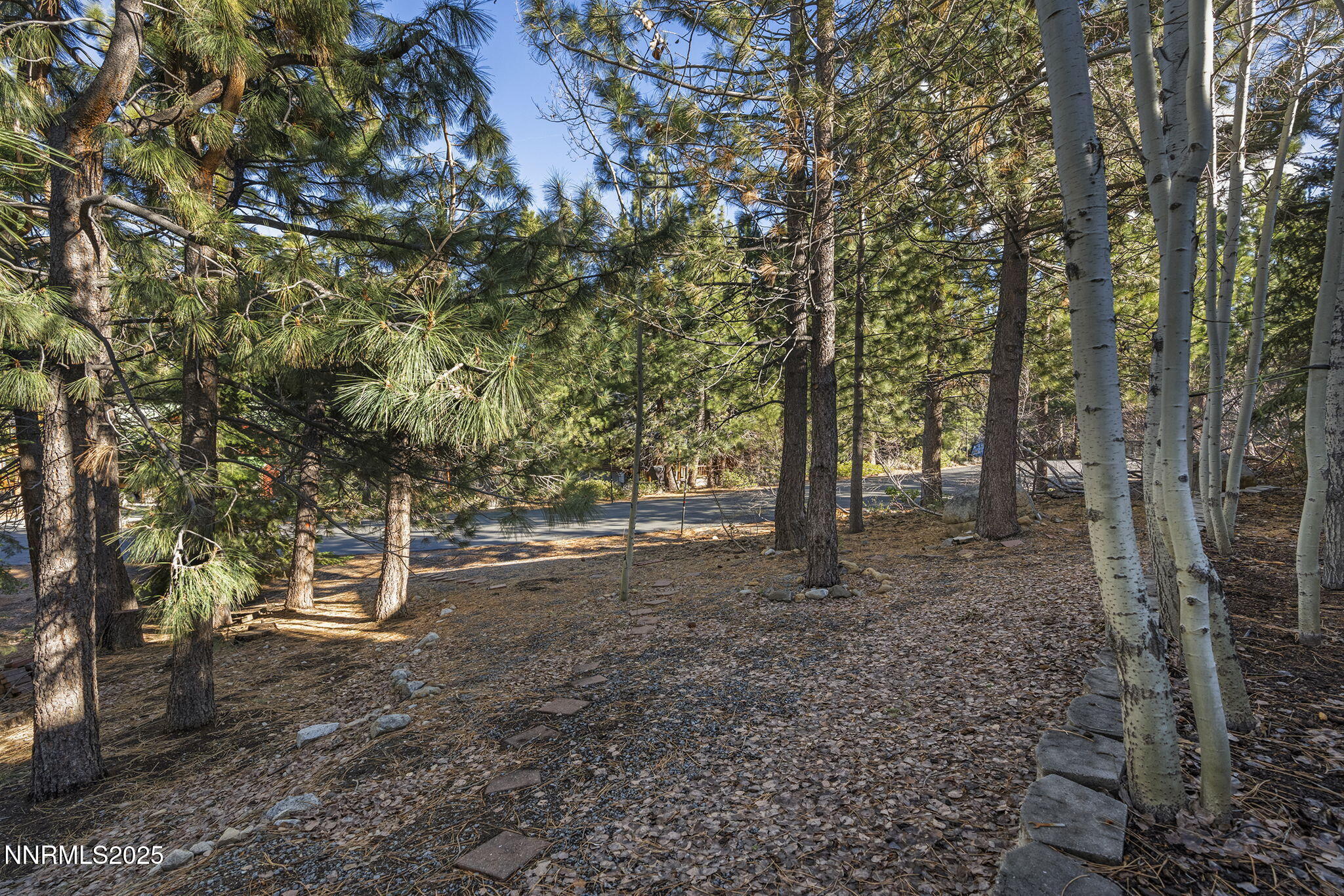 26-web-or-mls-_DSC0539