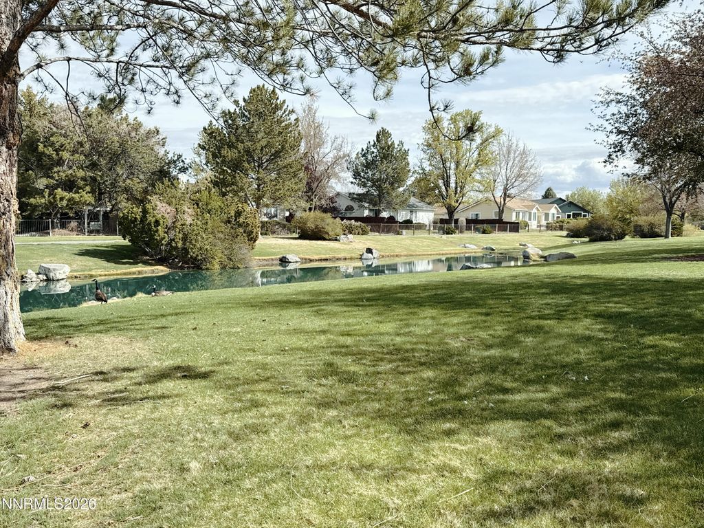 Photo of 1729 Lantana Drive, Minden, NV 89423 (MLS # 260004192)