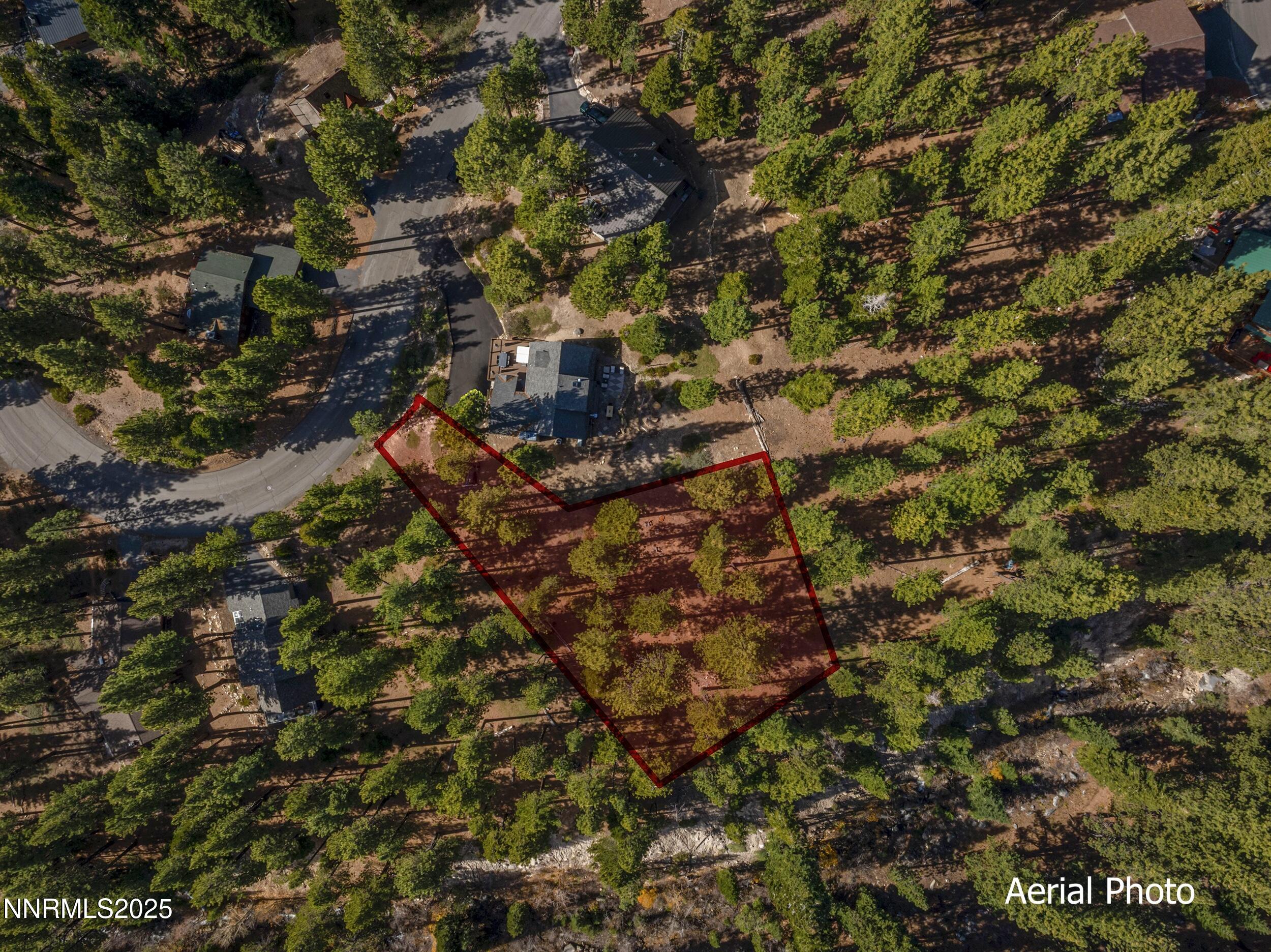 6-print-6-print-Jennifer_drone