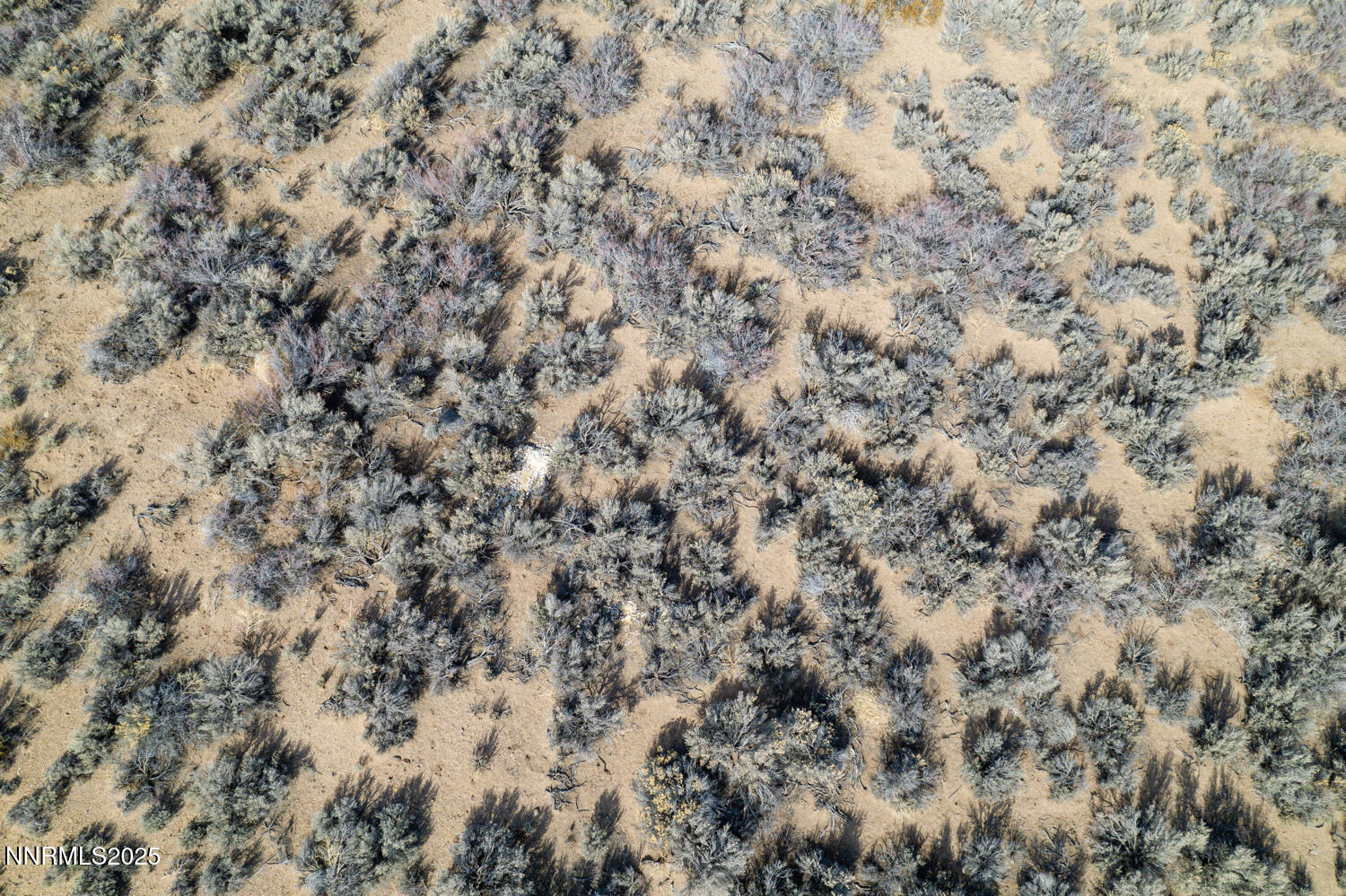 1173 and 1181 Kimmerling-23