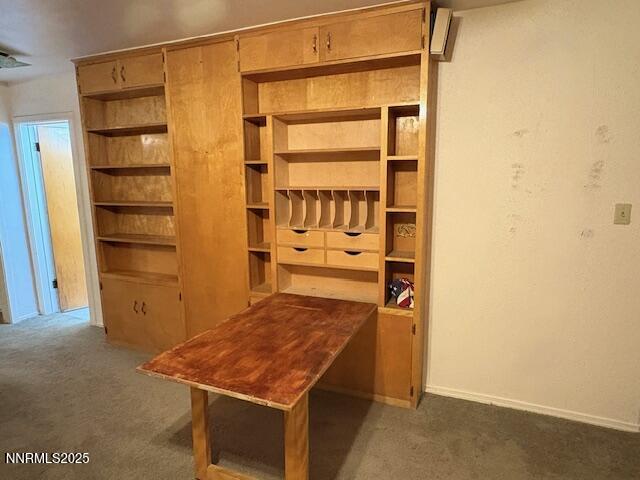 Living Room Built In