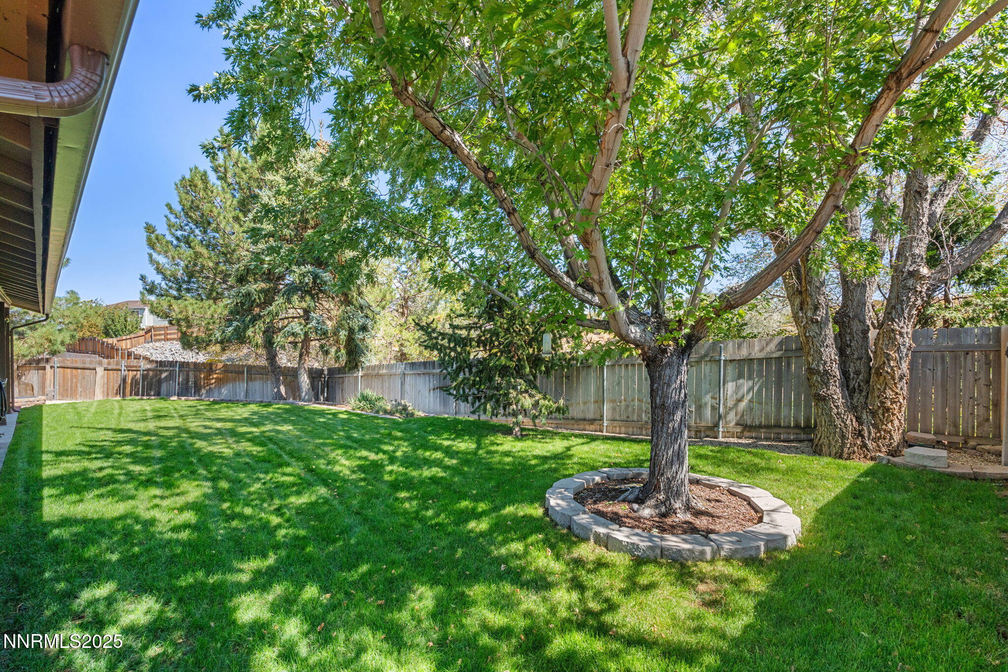 39-web-or-mls-DSC00838