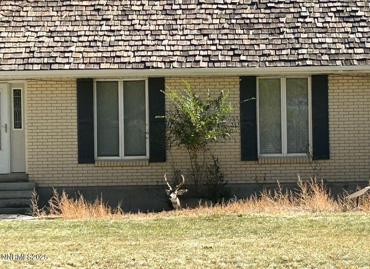 Newer home with Pet Deer