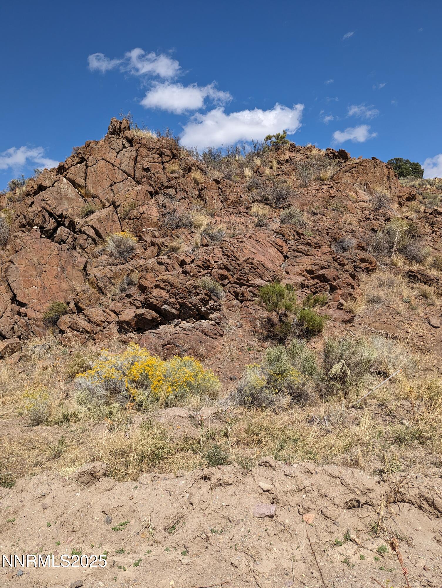 PXL_20230921_212139918