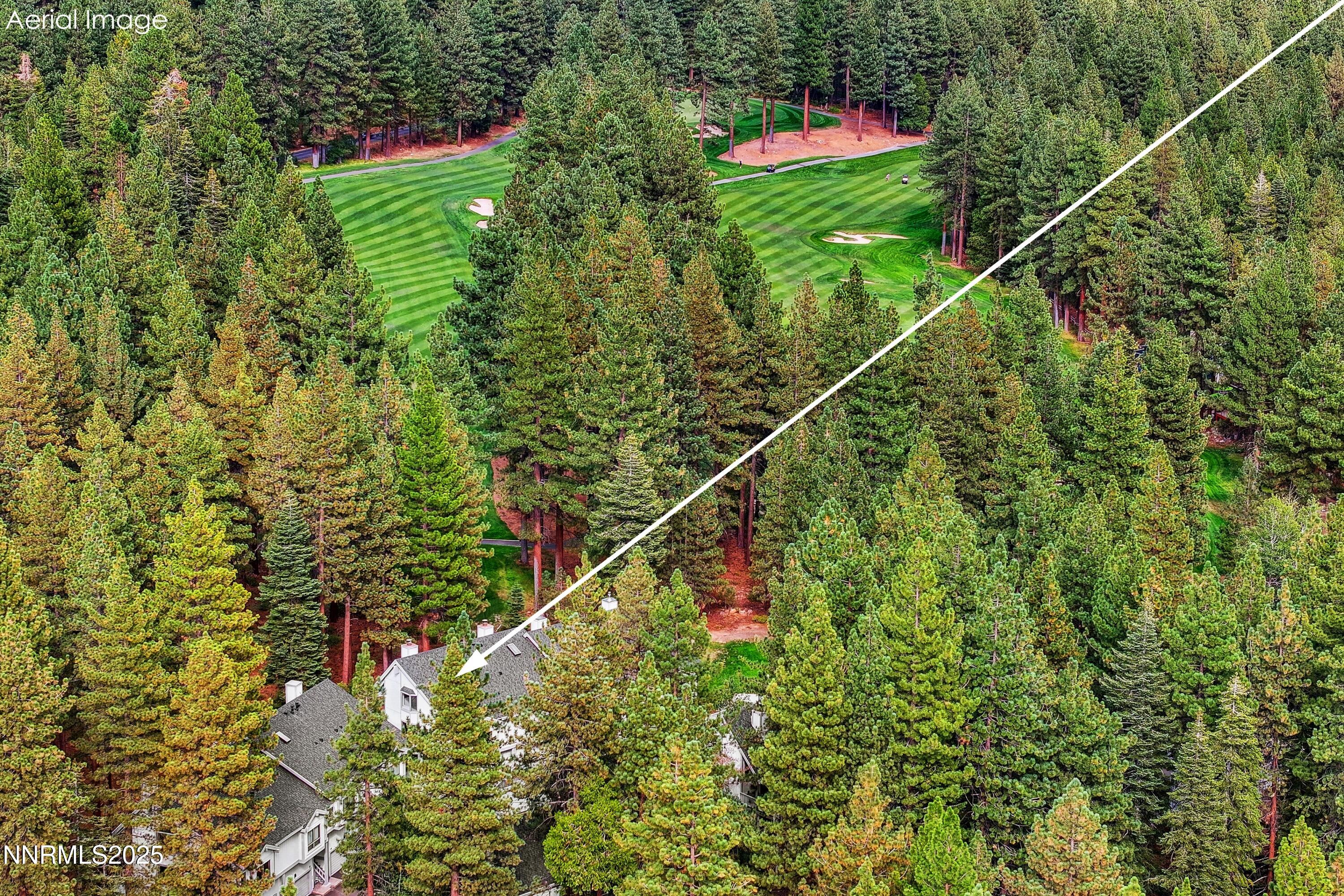 AerialFairwayPines