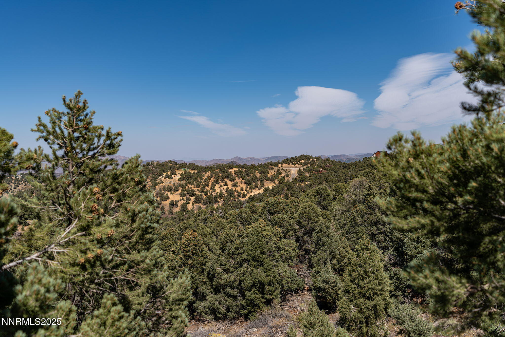 5-web-or-mls-_DSC1143