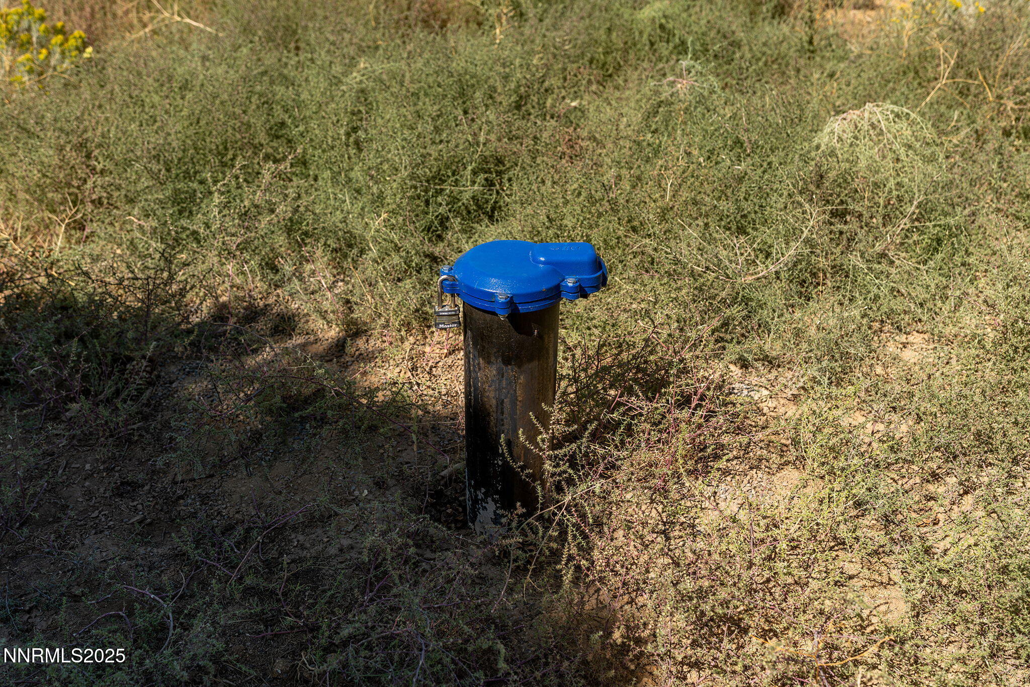 8-web-or-mls-_DSC1146