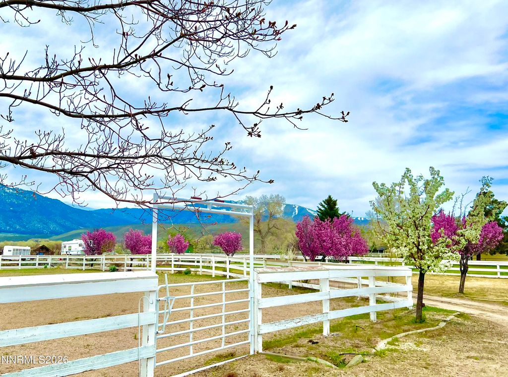 Photo of 2801 Tamara Court, Minden, NV 89423 (MLS # 260004474)