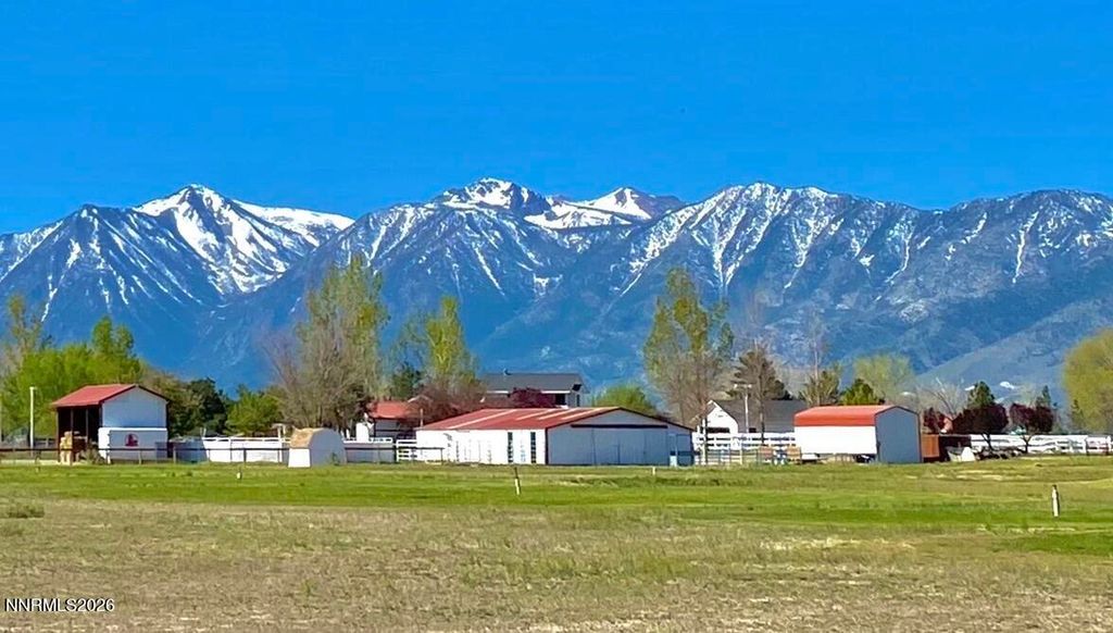 Photo of 2801 Tamara Court, Minden, NV 89423 (MLS # 260004474)