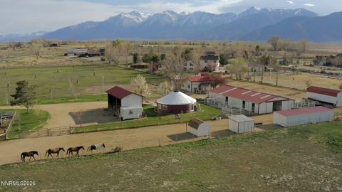 2801 Tamara Court Minden NV 89423