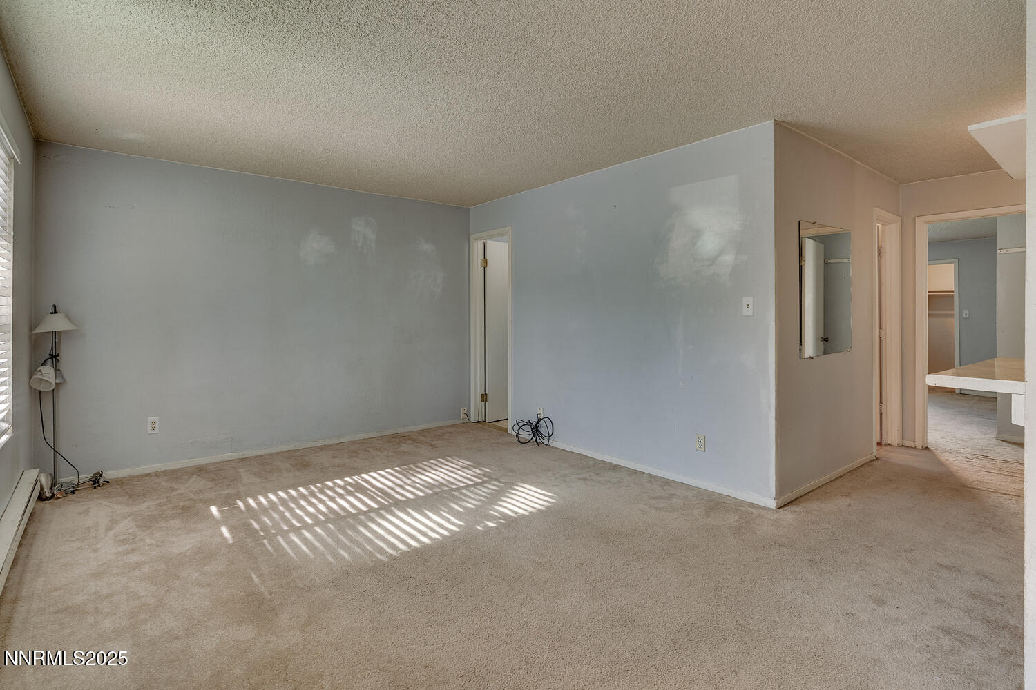 3919 Clear Acre Ln 167 Reno NV-large-003