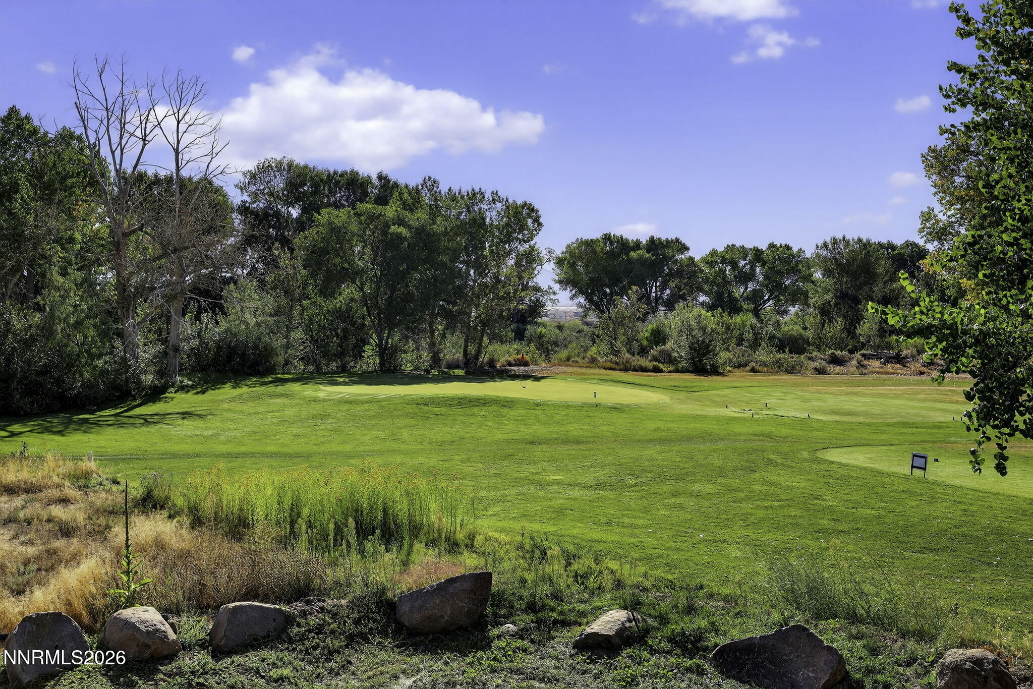 51-web-or-mls-1051 Riverview-33