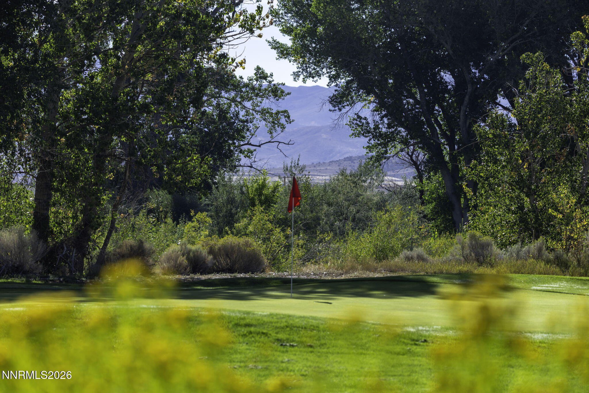 89-web-or-mls-1051 Riverview-81