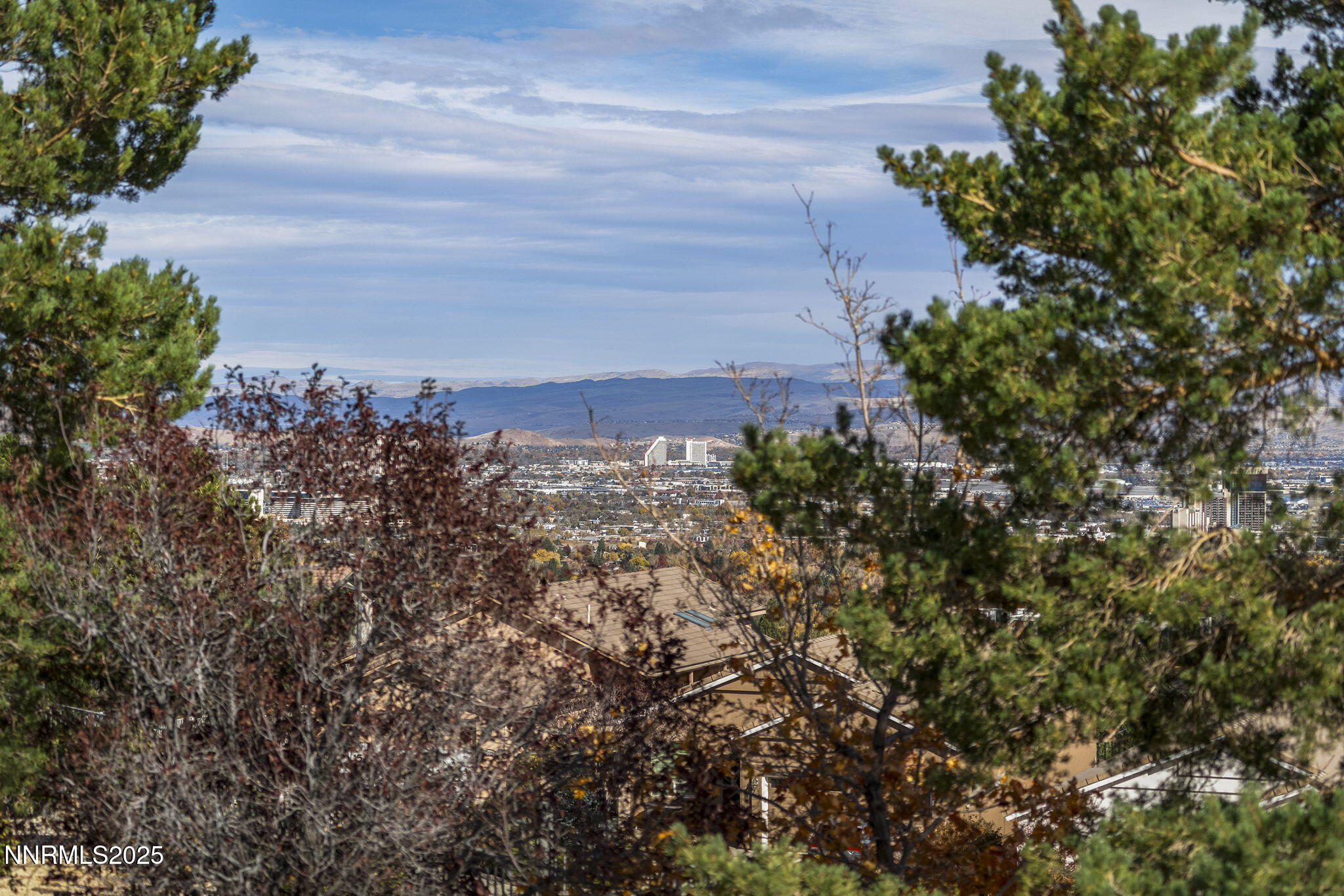 48-web-or-mls-_DSC4369