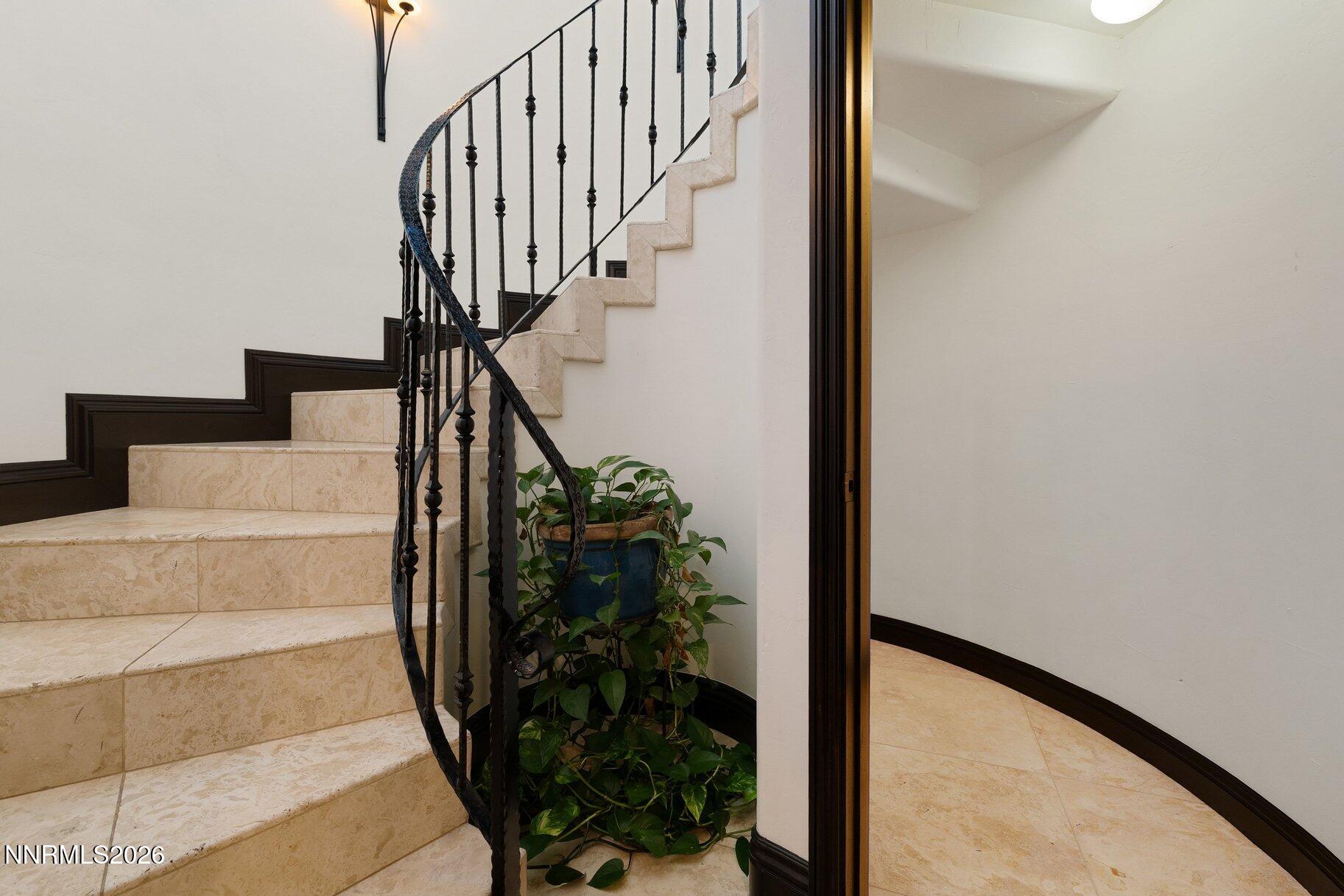 044_50-print-12910_silver_wolf-40_299