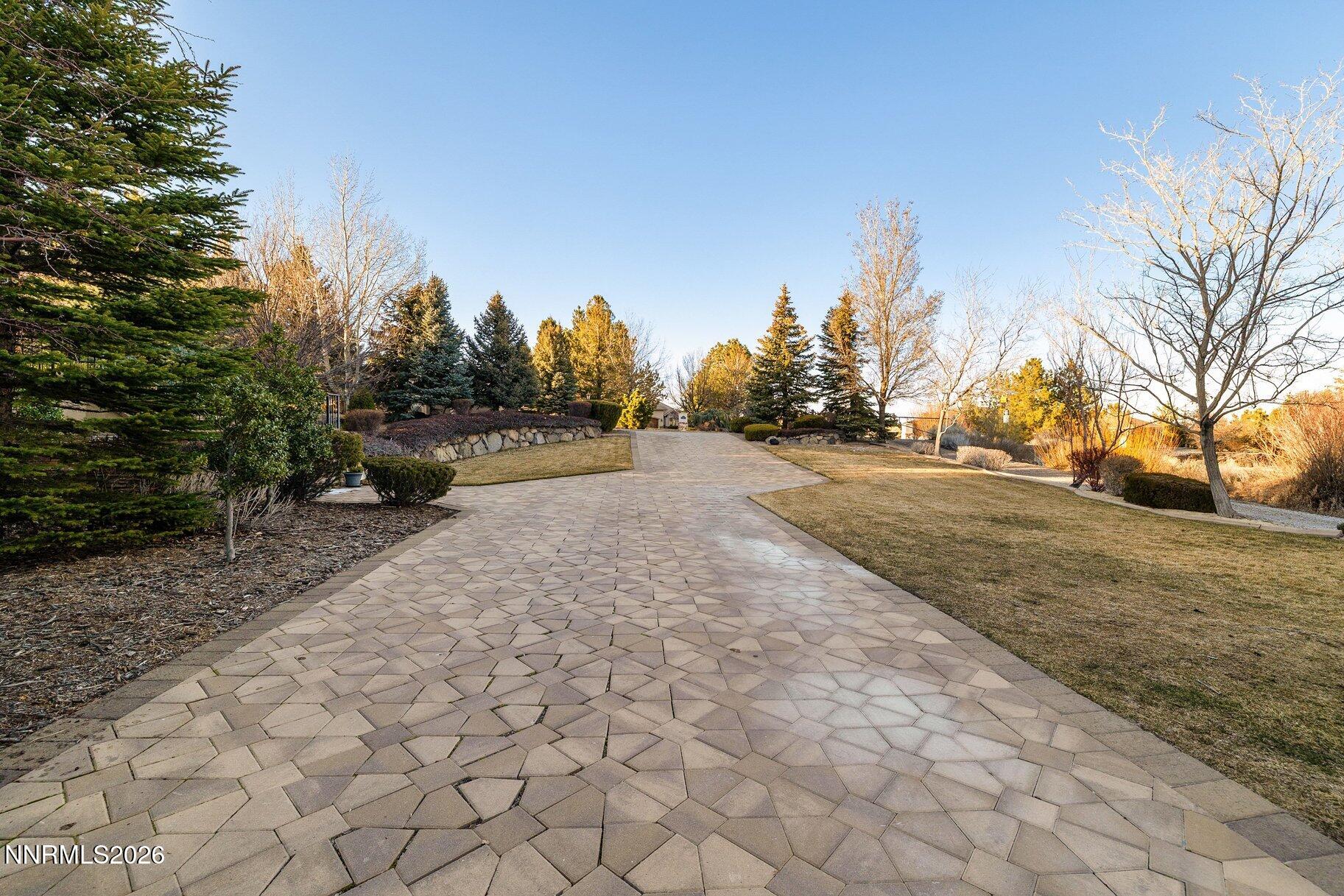 069_67-print-12910_silver_wolf-57_52