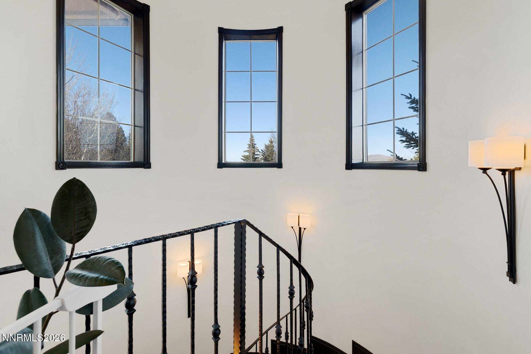 011_13-print-12910_silver_wolf-3_912