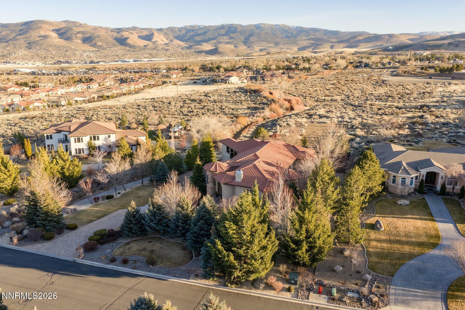 072_2-print-12910_silver_wolf_drone-5_98