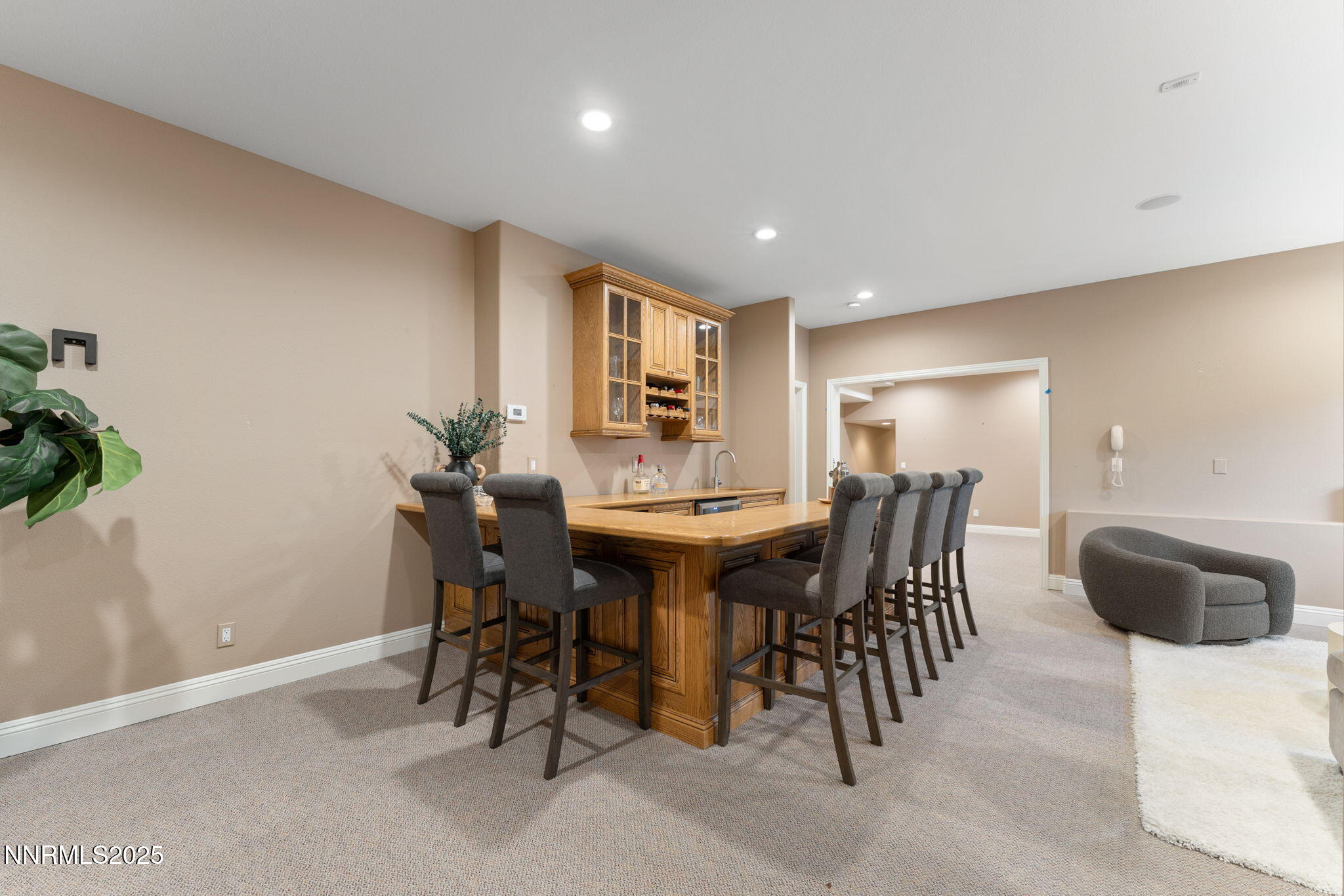 Basement Entertainment Room