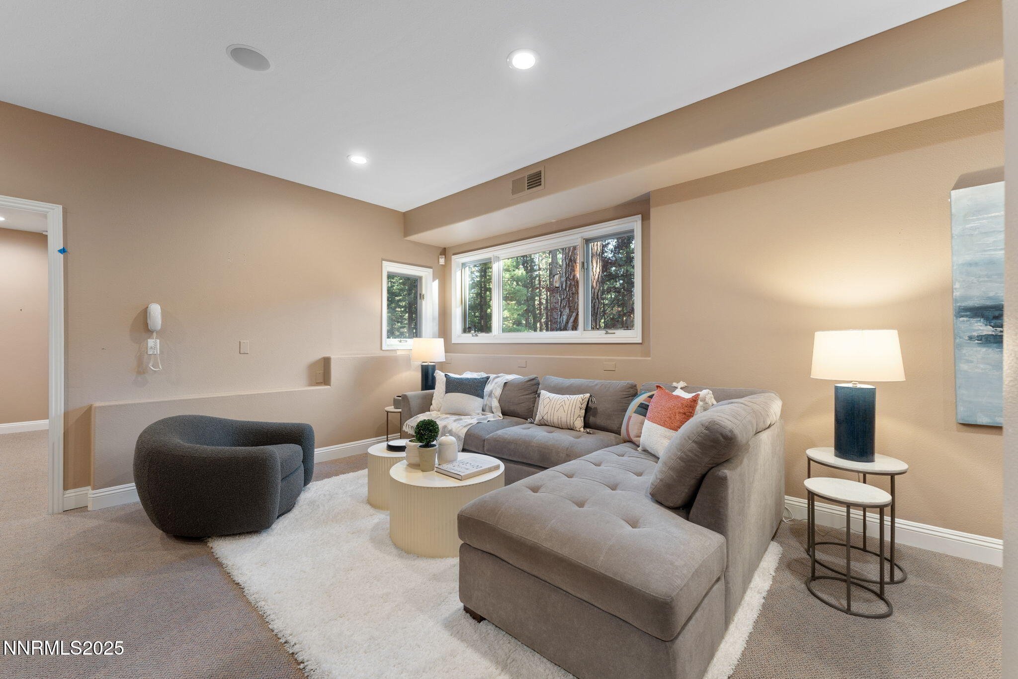 Basement Entertainment Room