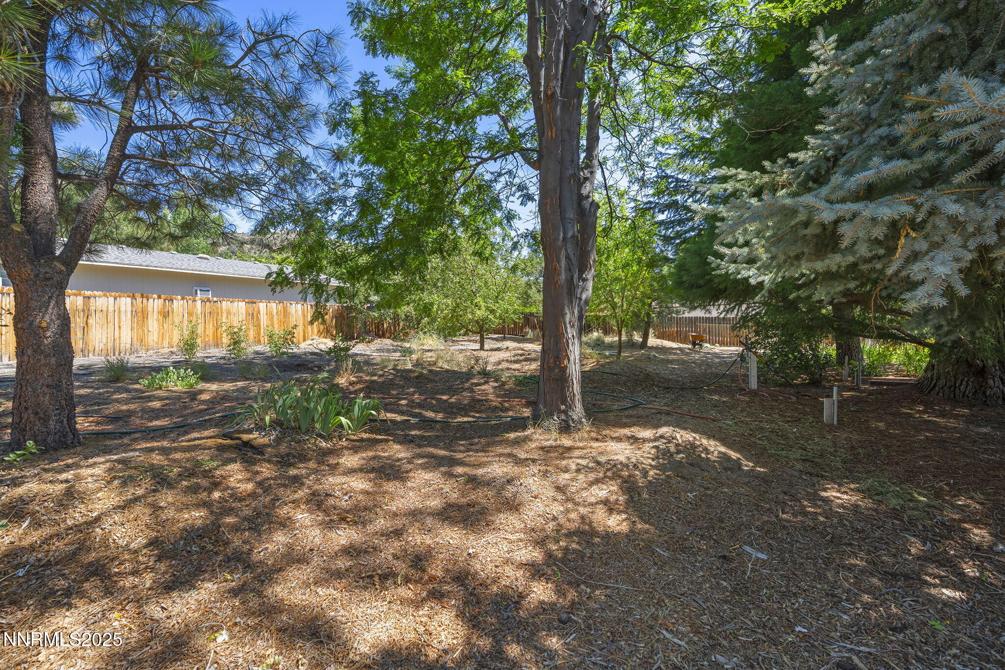 31-web-or-mls-_DSC9934