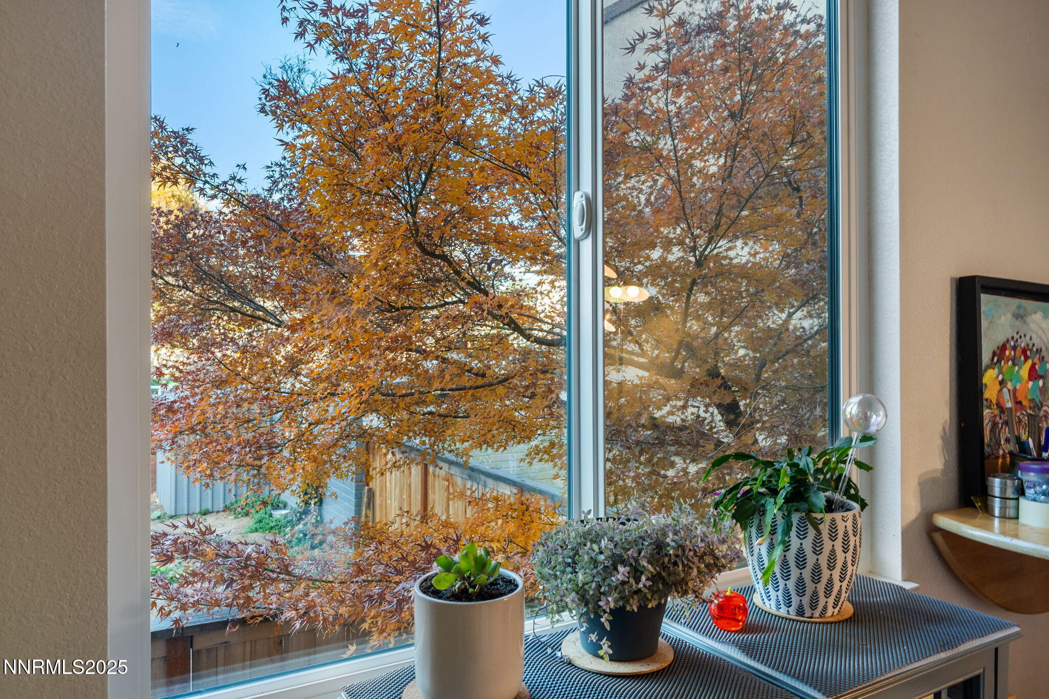 12-web-or-mls-DSC08765