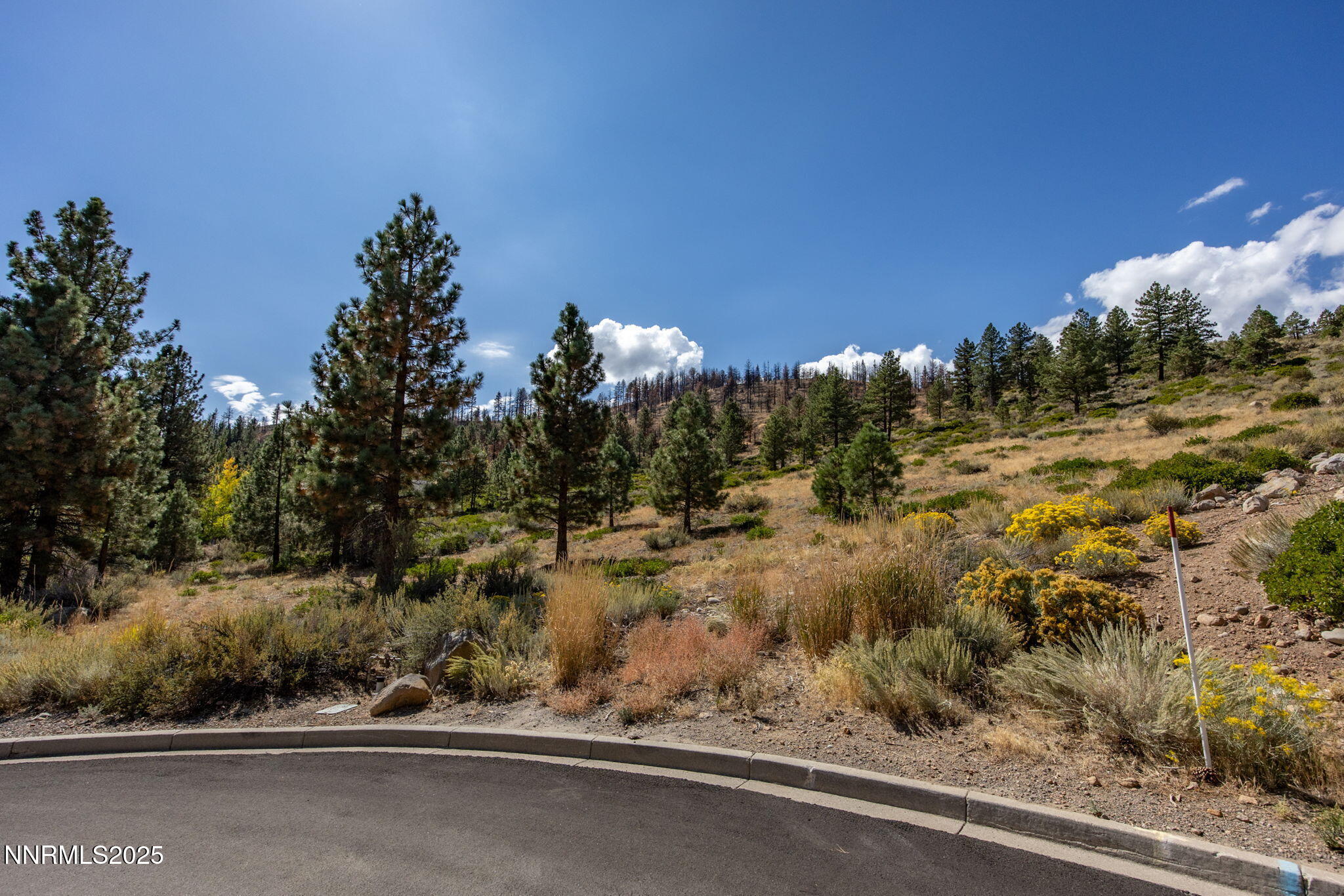 22-web-or-mls-32 Bennington ground