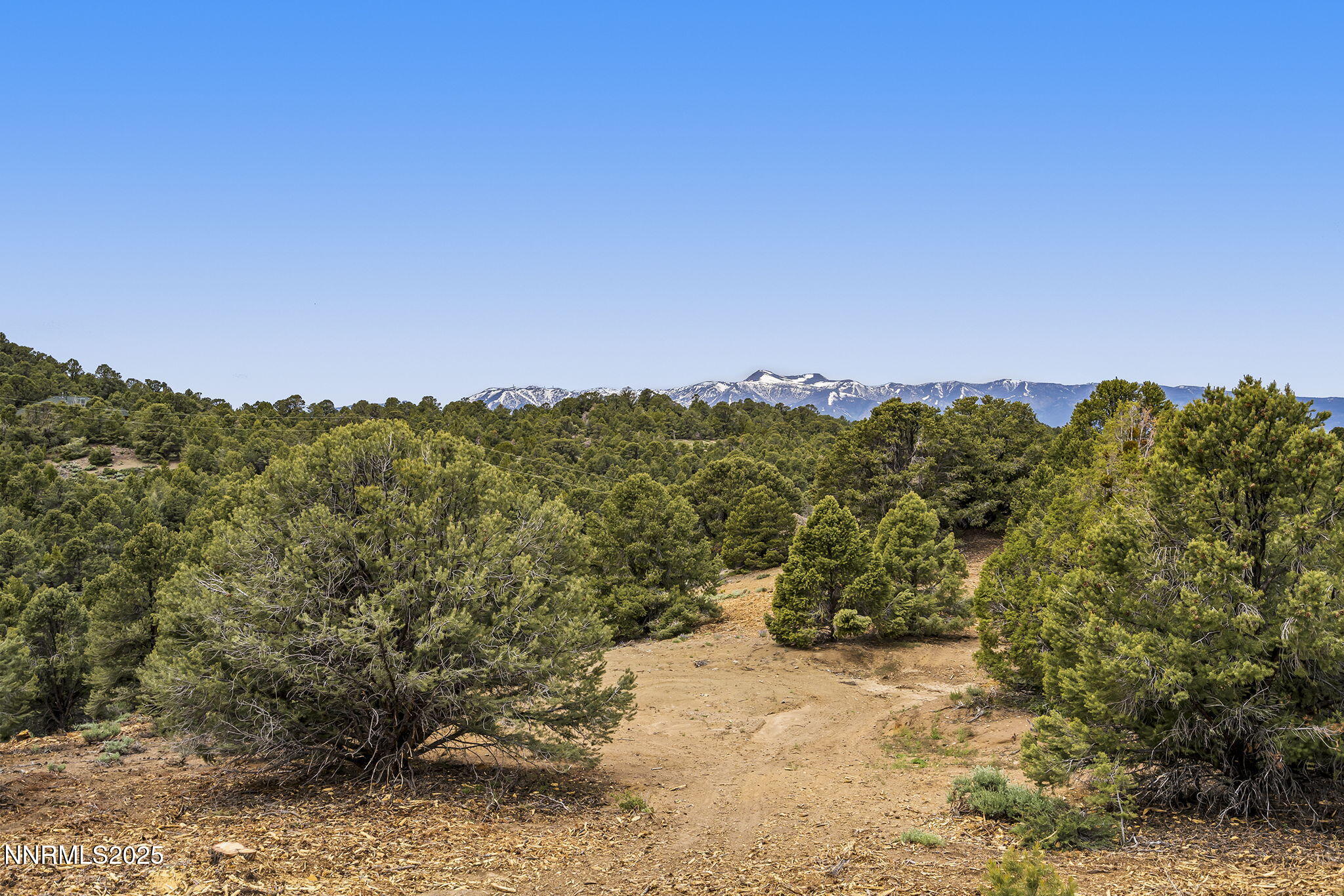 42-web-or-mls-_DSC0103