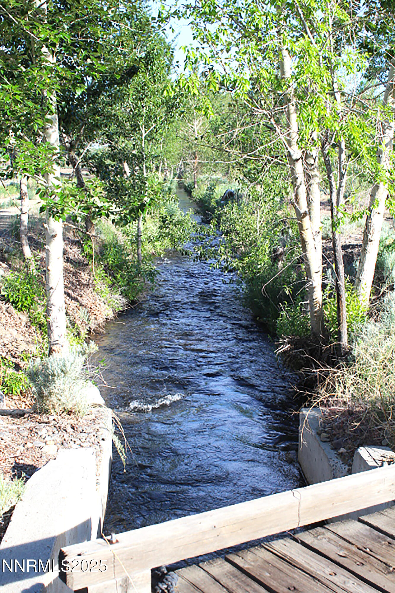Ditch From Ped Bridge