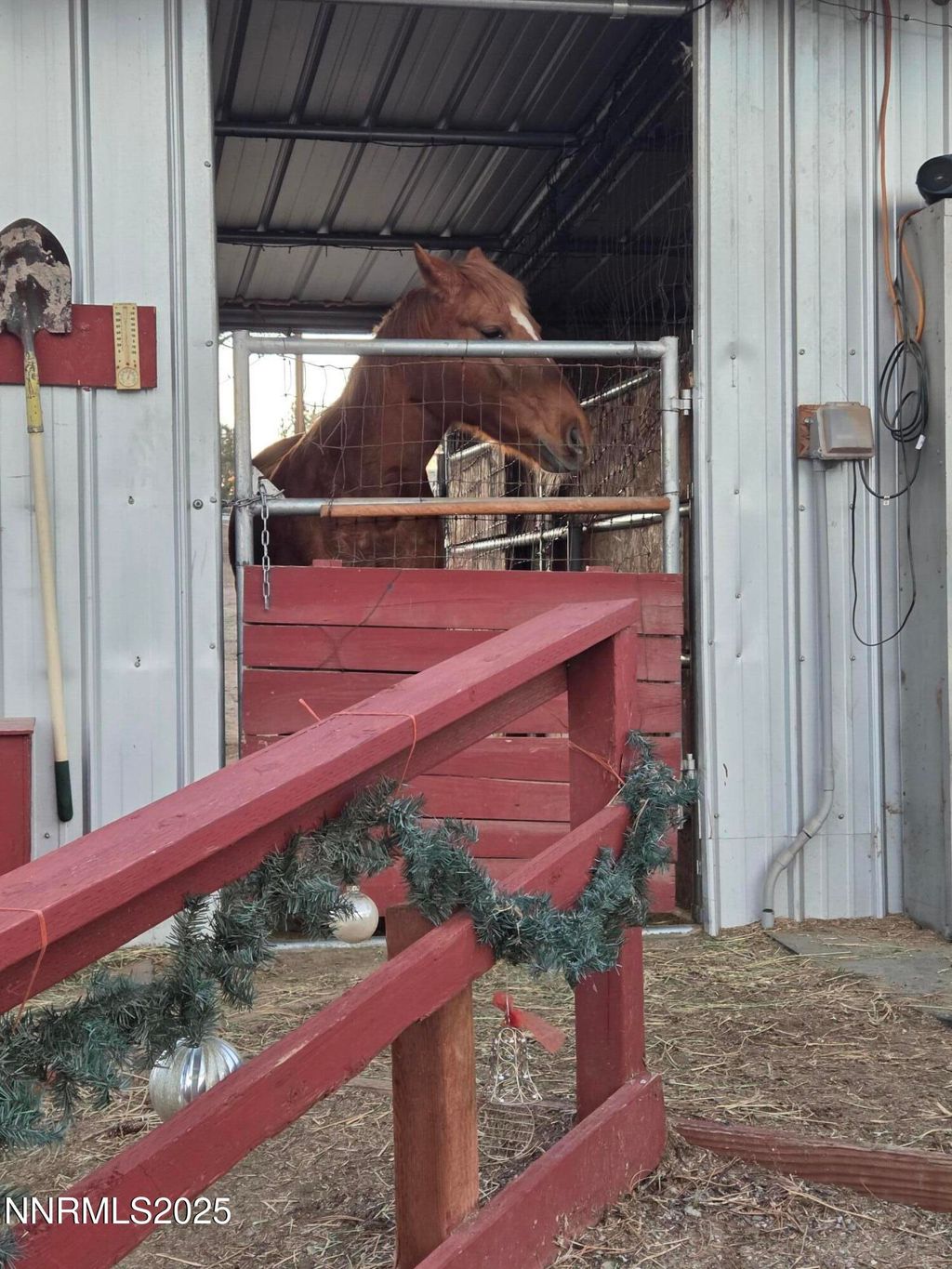 Photo of 10200 Shiloh Drive, Reno, NV 89508 (MLS # 250059255)