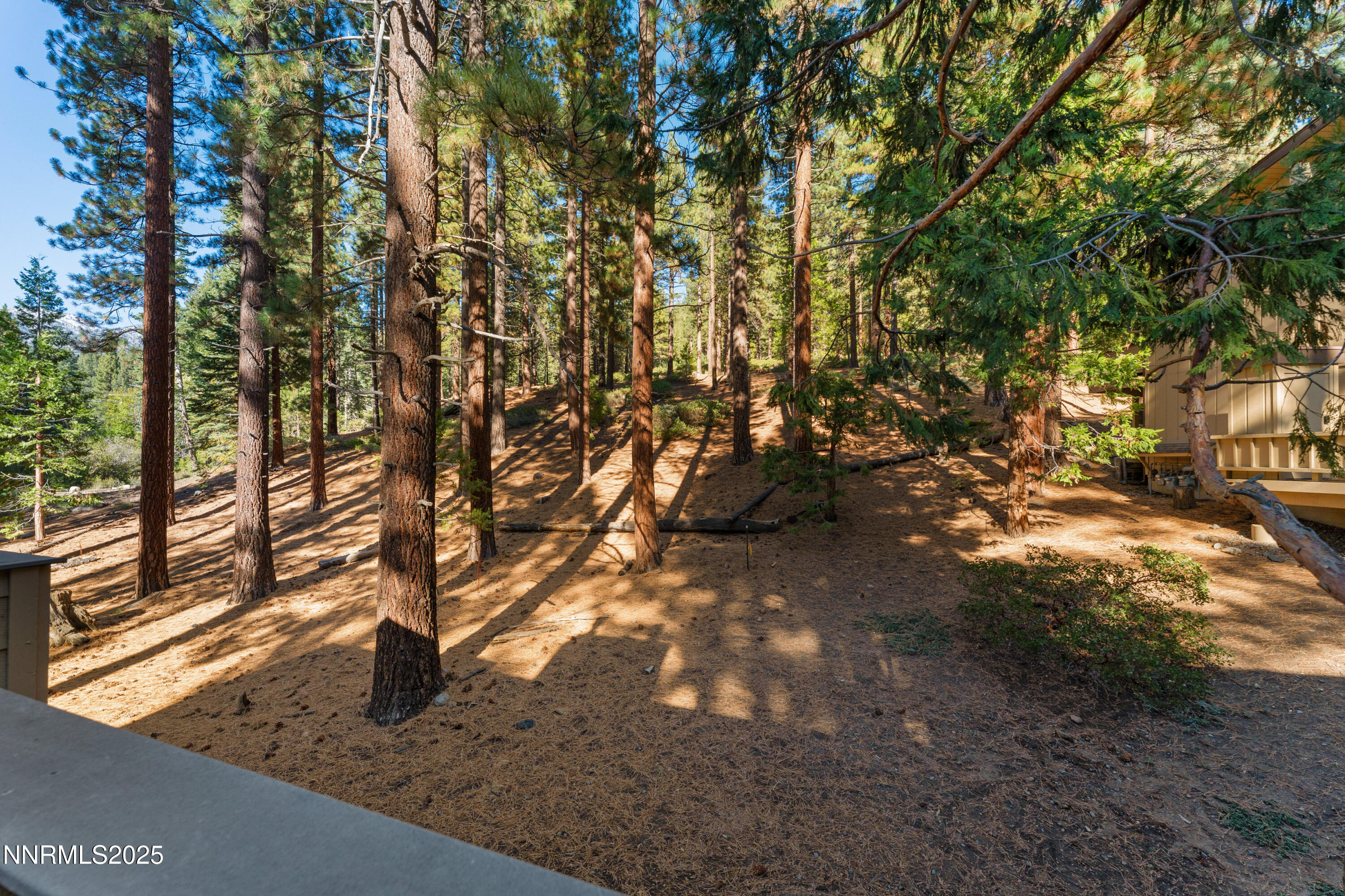 012_34-print-a7402974_380