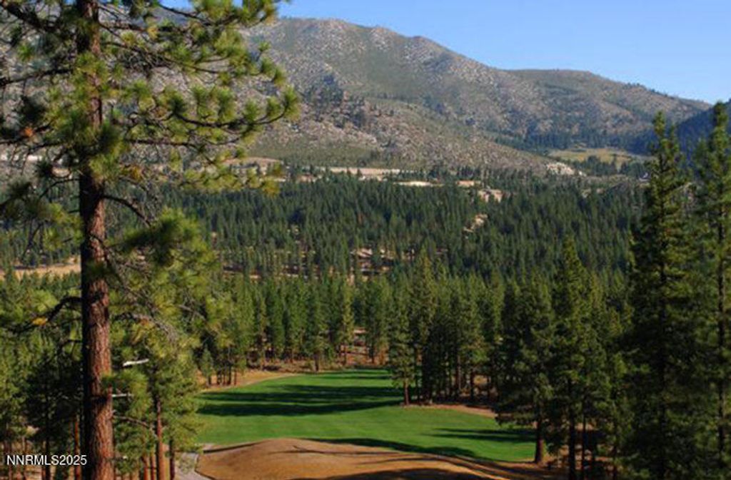 Photo of 253 Mill Race Lp, Carson City, NV 89705 (MLS # 250058766)