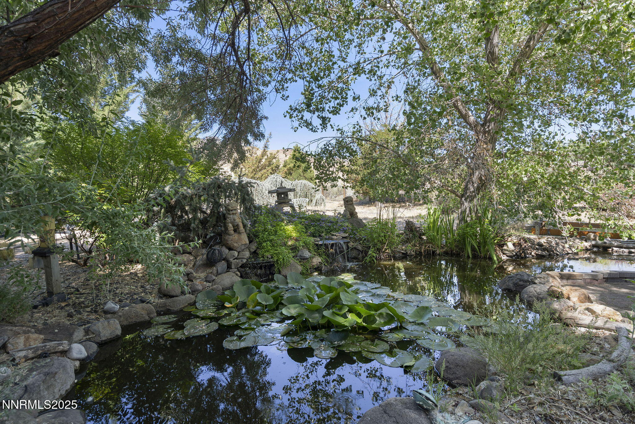 36-web-or-mls-_DSC0061