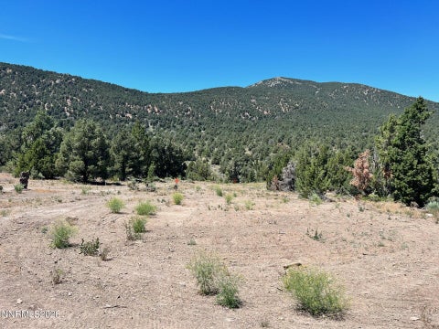 MLS: 260007760