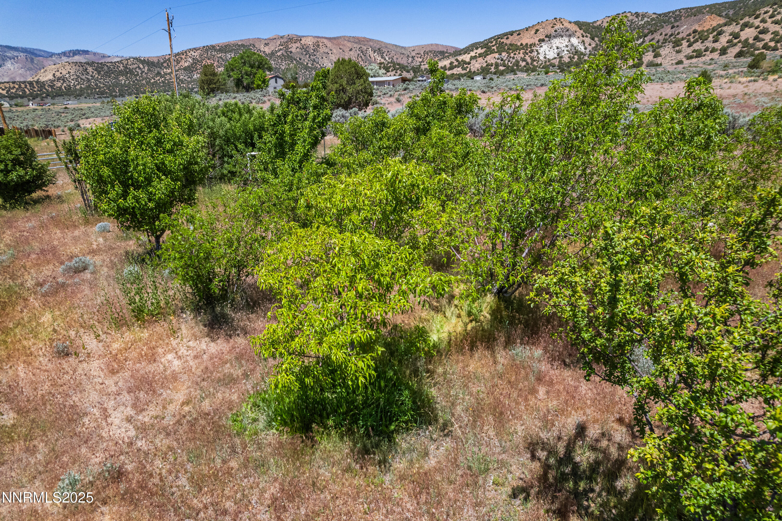 500 Clydesdale Dr-28