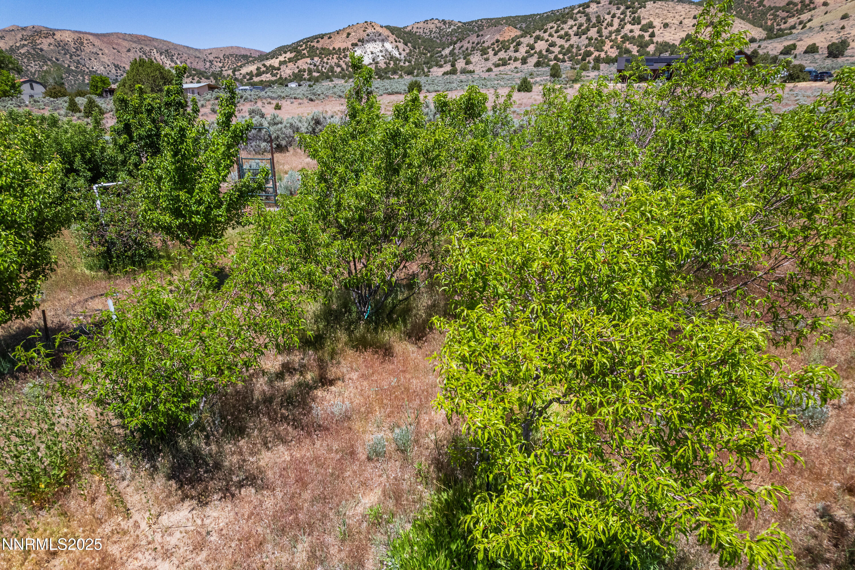 500 Clydesdale Dr-27