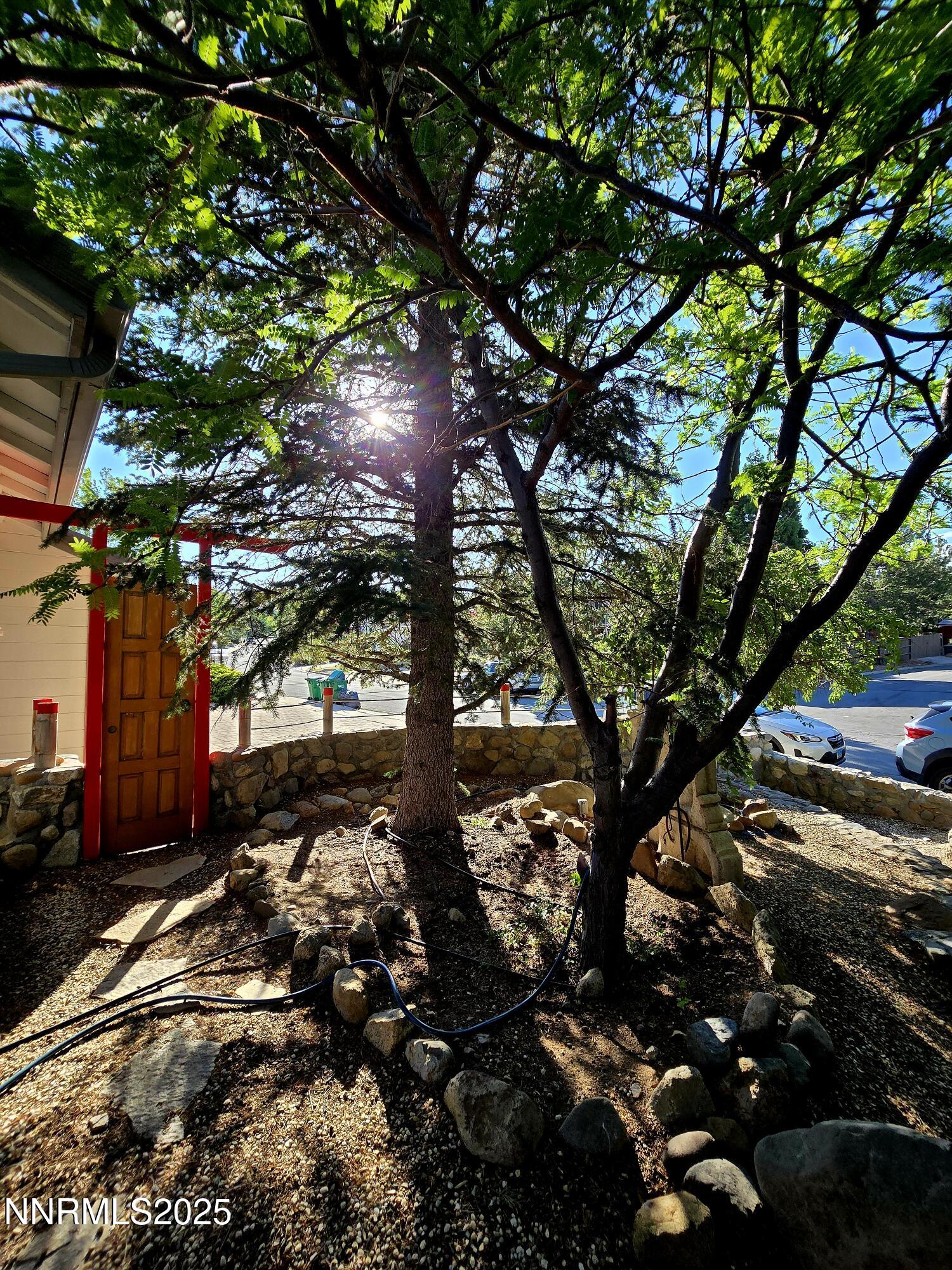 3796 Bellingham front yard 2