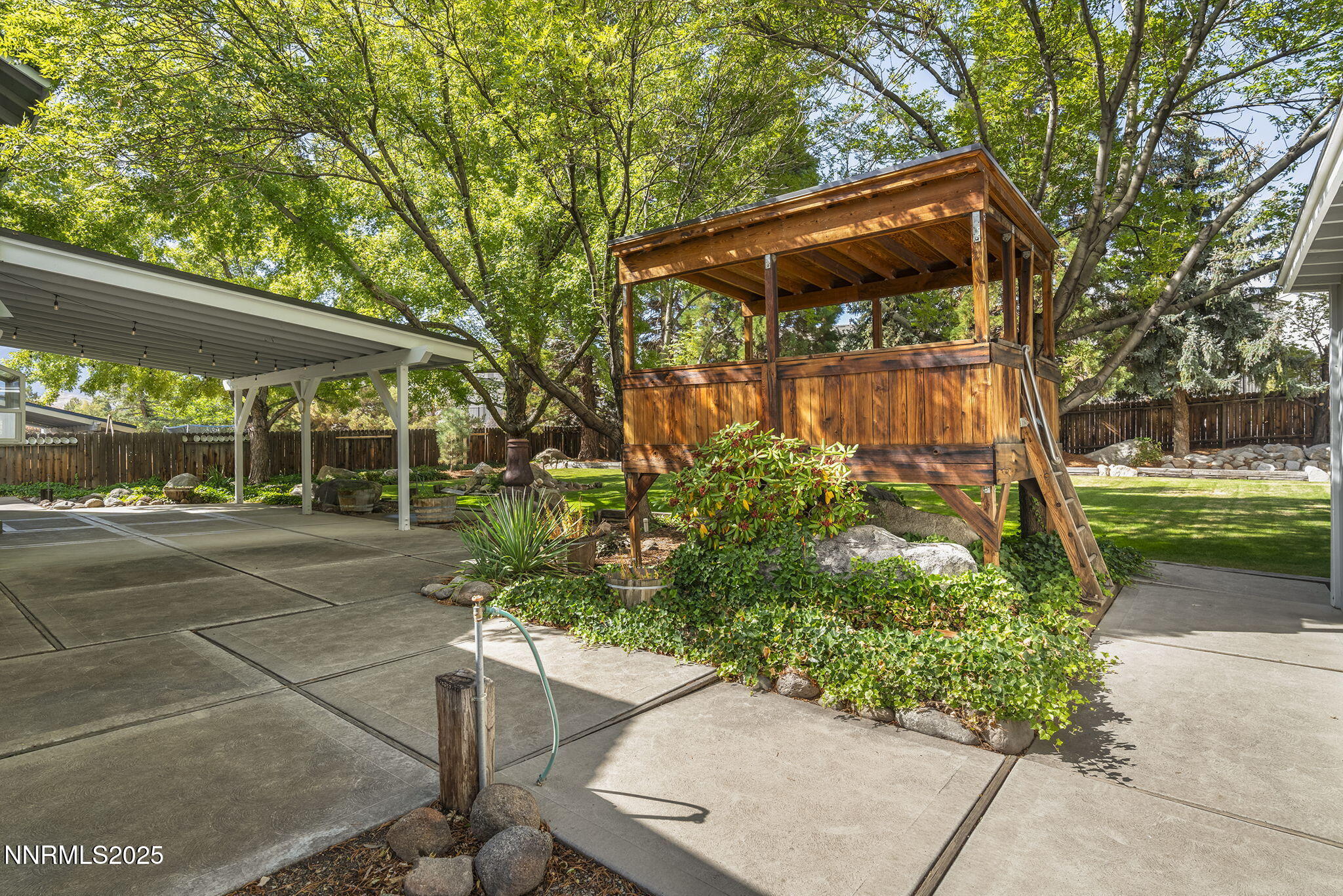 50-web-or-mls-_DSC2747