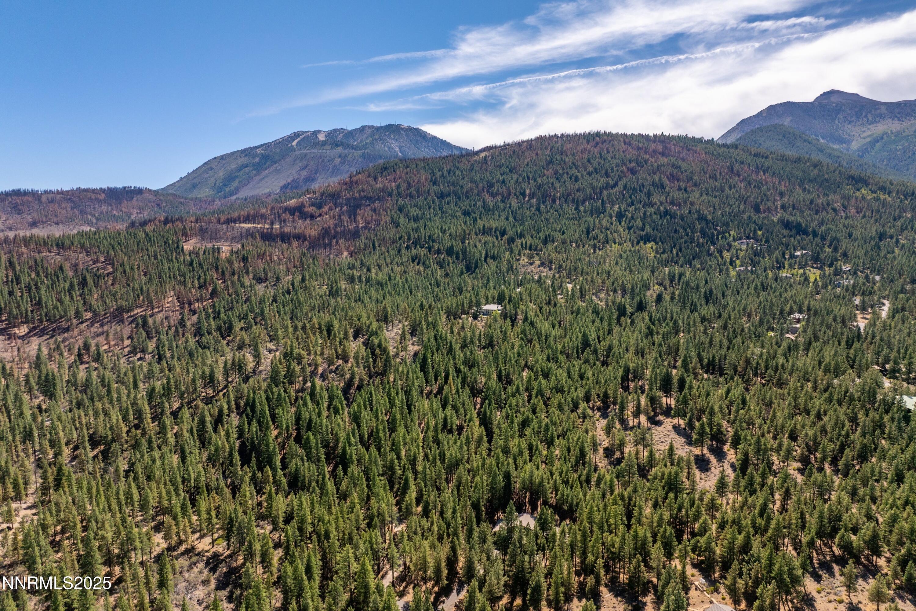 047_52-print-1745_green_ash_rd_drone-5_2