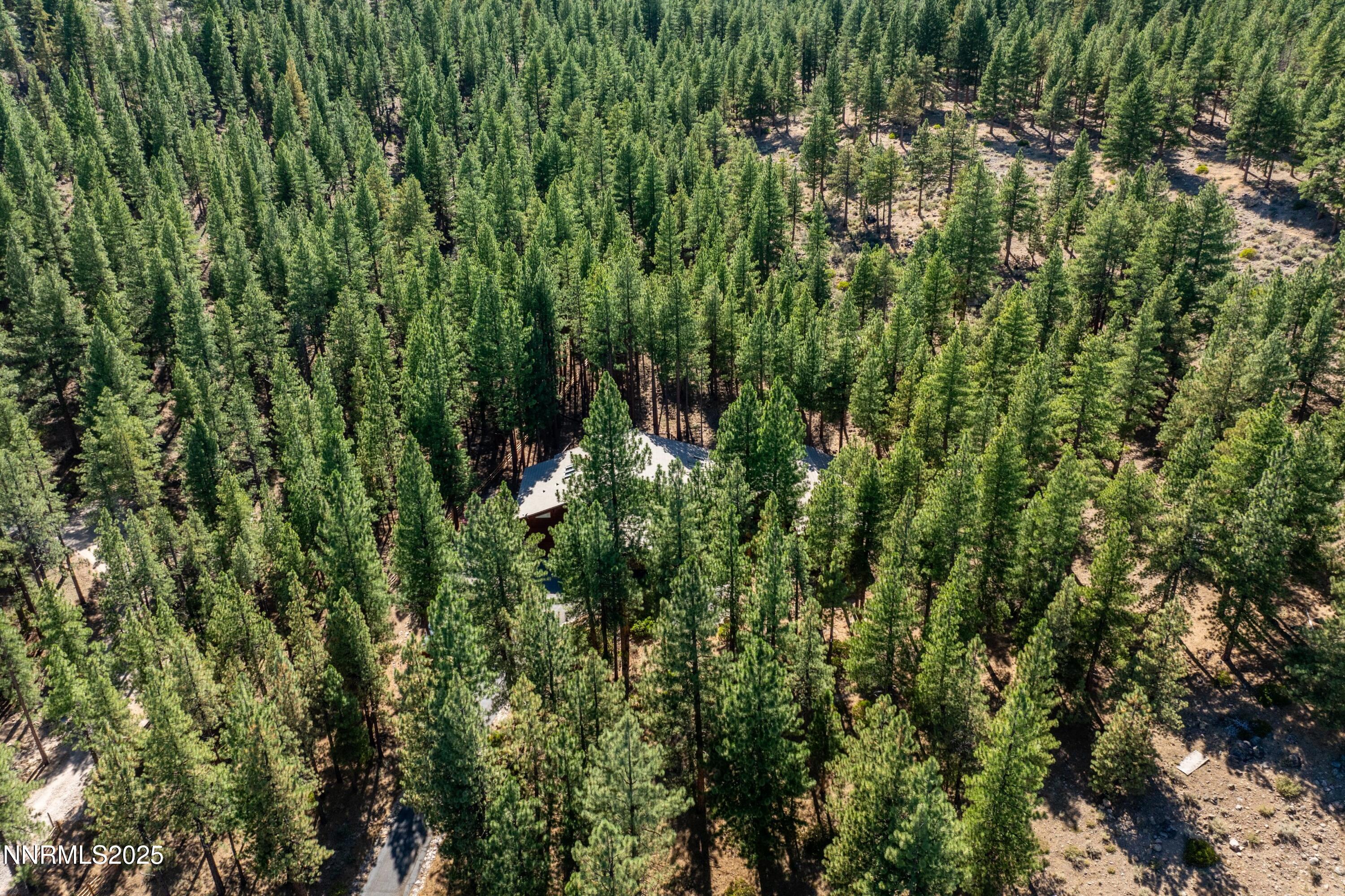 052_51-print-1745_green_ash_rd_drone-2_1