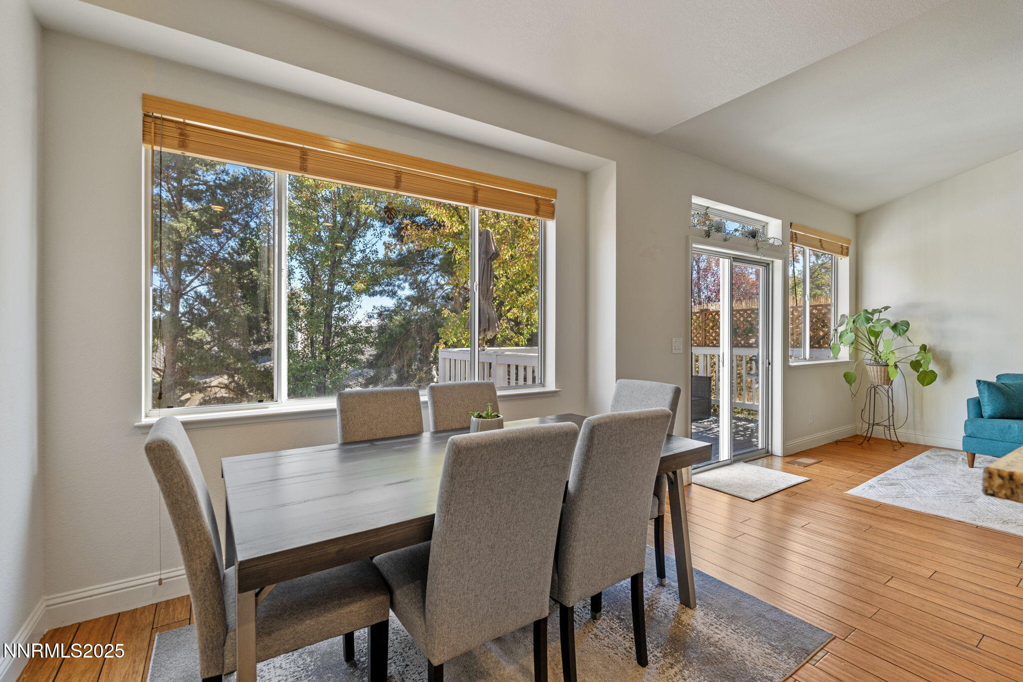 32-web-or-mls-DSC06842