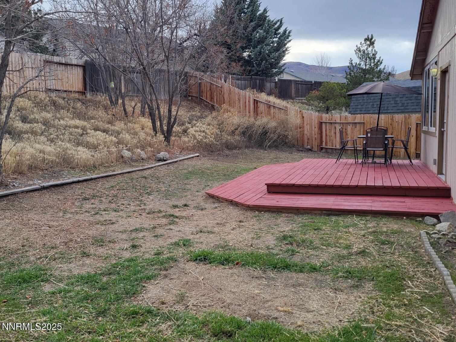 20251216_Backyard 3