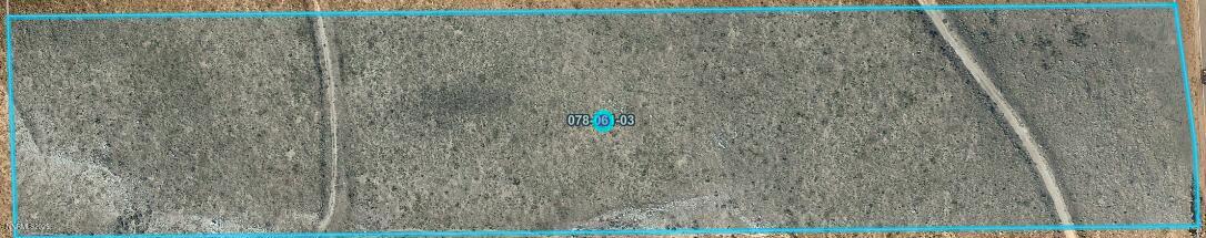 Screenshot 2025-07-28 at 4.14.45PM