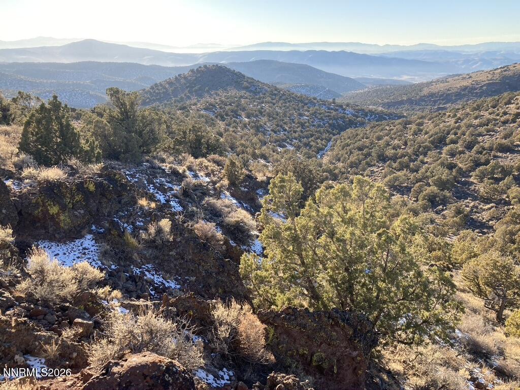 CB74621E-4895-42E5-8E91-A7E86B6D4308_1_1