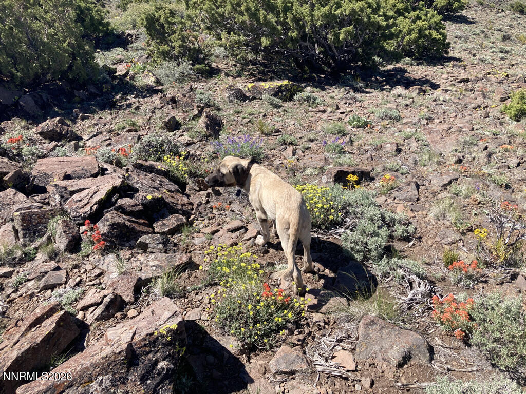 4F658068-2465-4DC2-891D-F432E9CD4AC4_1_1