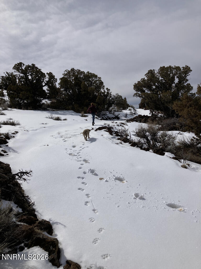 F2F84932-09C8-41C1-9DCC-A065E74B0D96_1_1