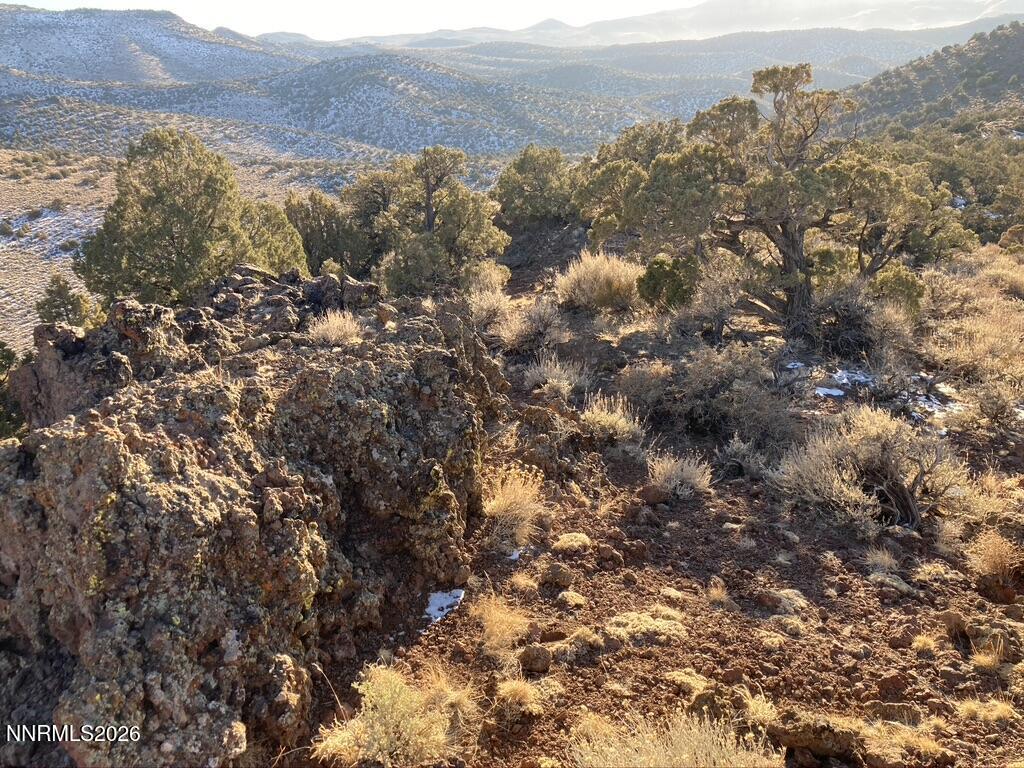 2CD6DEDA-8BA0-465B-98B7-05436B77AF9F_1_1