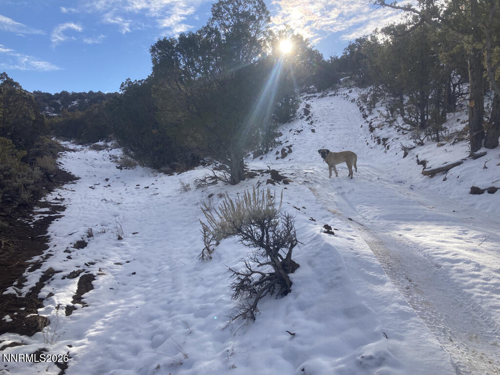 62453864-0C64-46EE-AE1F-18A07BB15FA7_1_1